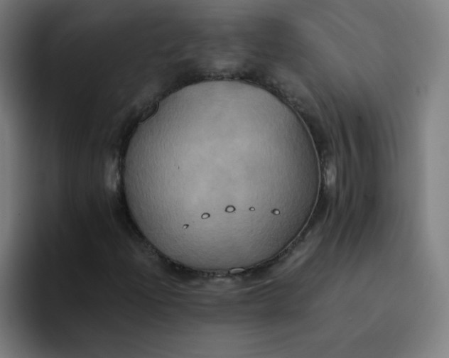X0000094371204200711162104