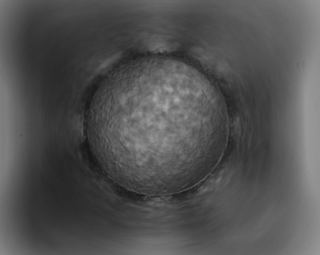 X0000094371205200711162104