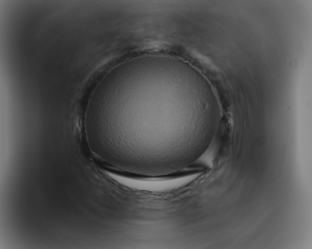 X0000094371206200711162104