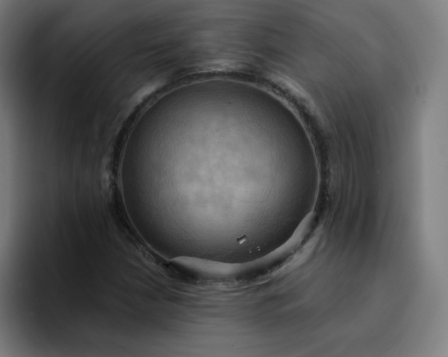 X0000094371210200711162104