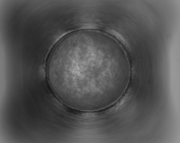 X0000094371212200711162104