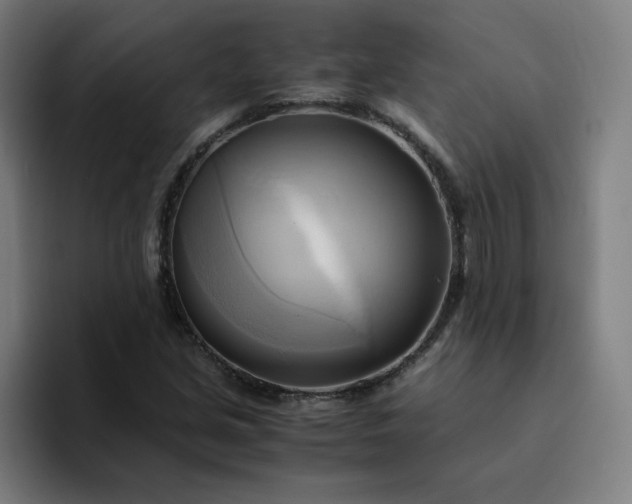 X0000094371213200711162104
