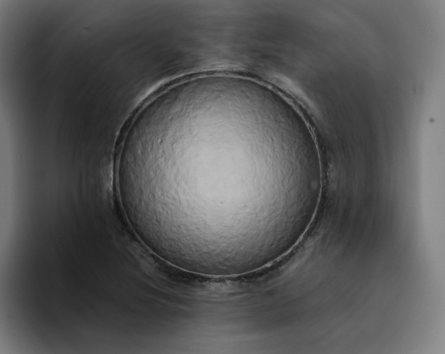 X0000094371220200711162104