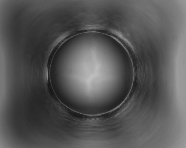 X0000094371221200711162104