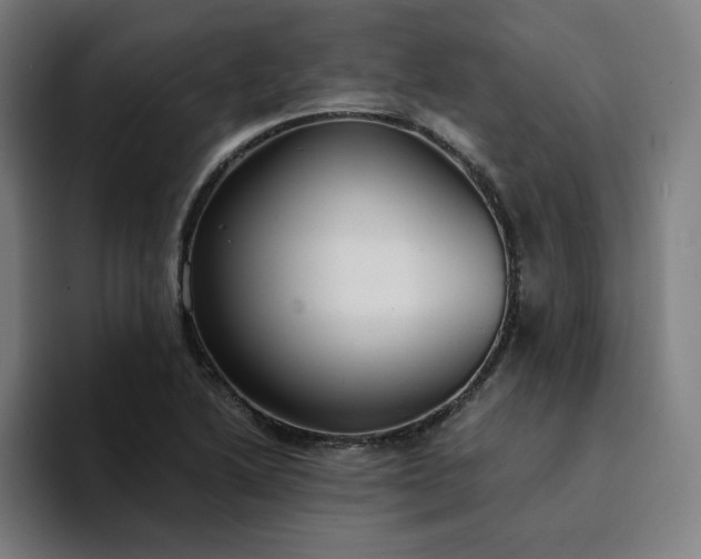 X0000094371222200711162104
