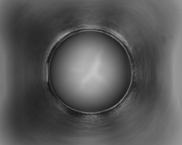 X0000094371223200711162104