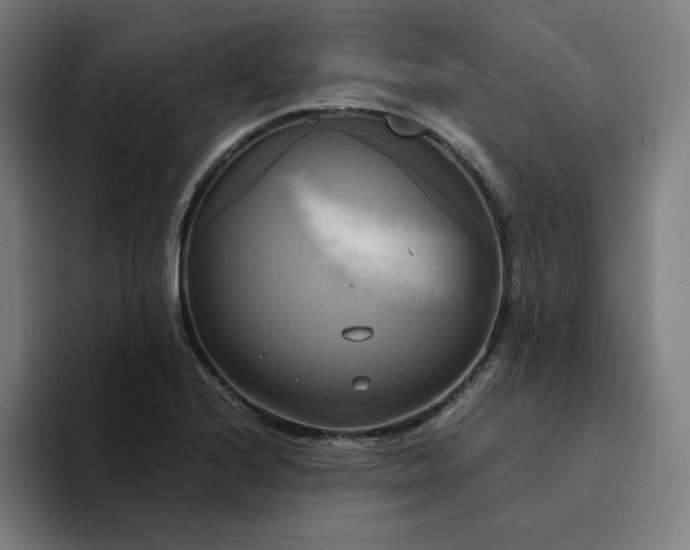 X0000094371224200711162104