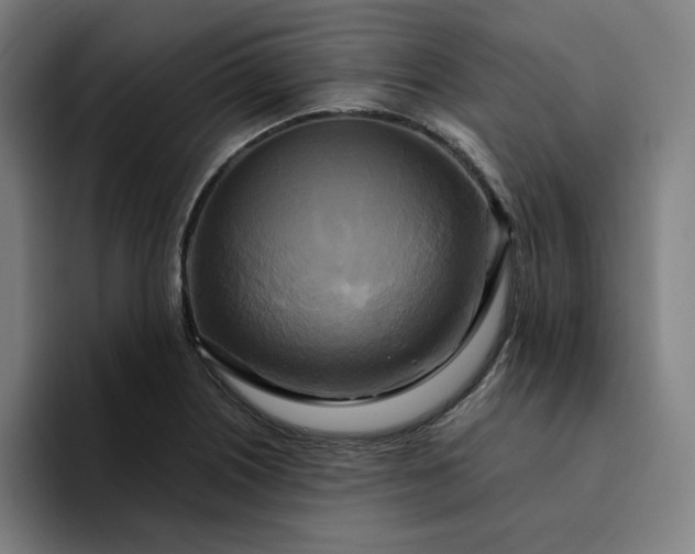X0000094371226200711162104