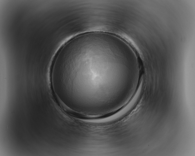 X0000094371230200711162104