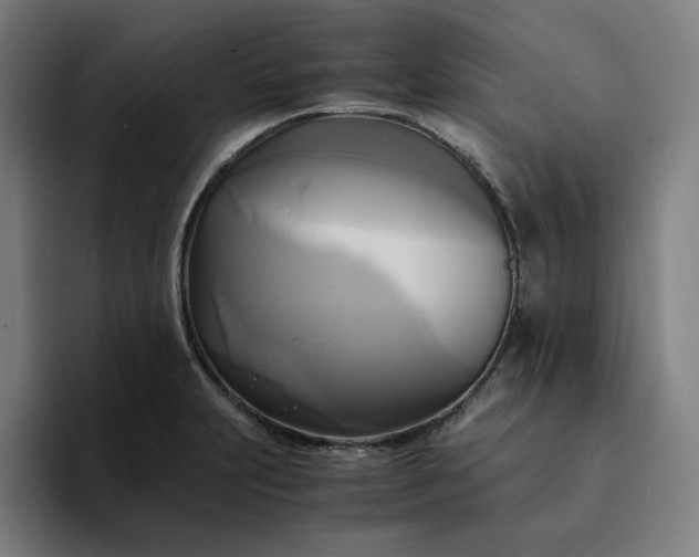 X0000094371231200711162104