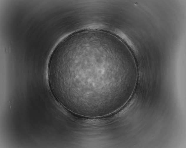 X0000094371232200711162104