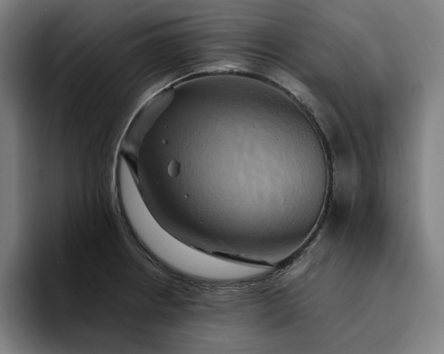 X0000094371234200711162104