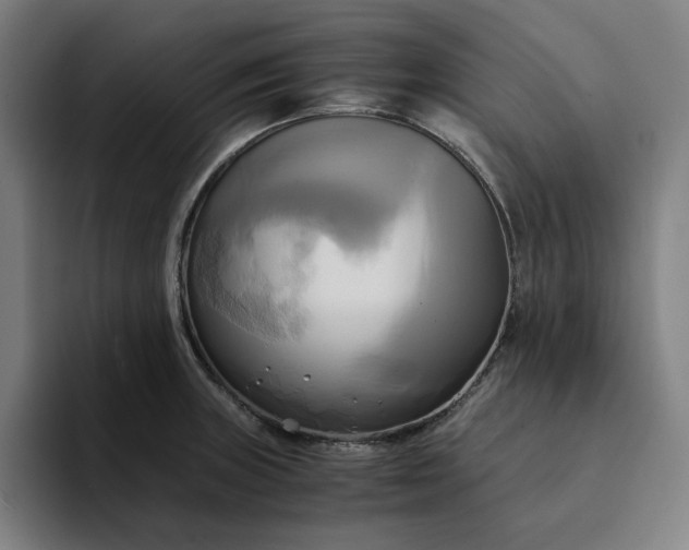 X0000094371235200711162104