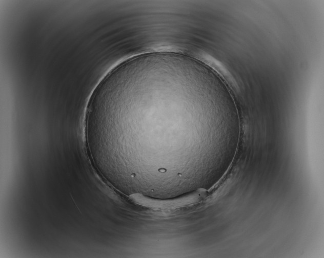 X0000094371236200711162104