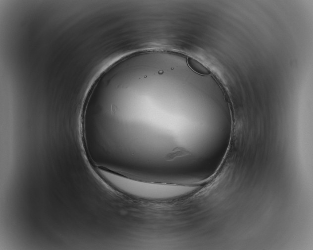 X0000094371239200711162104