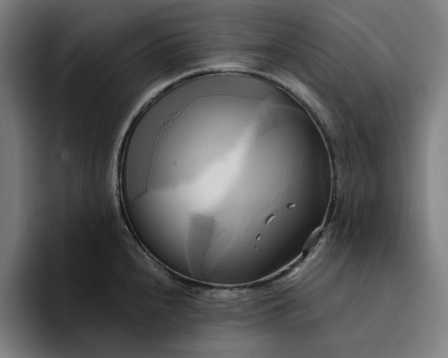 X0000094371240200711162104