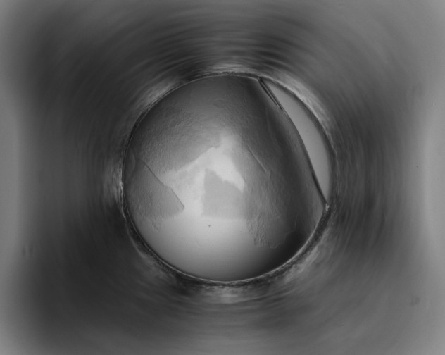 X0000094371241200711162104