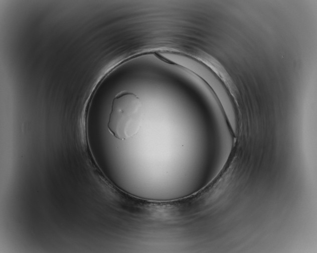 X0000094371242200711162104