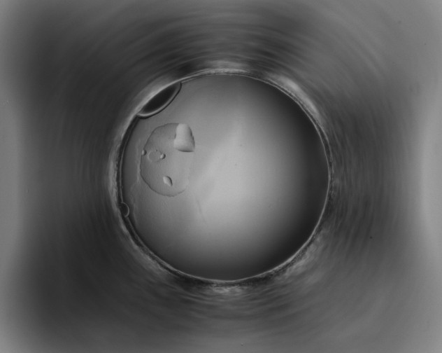 X0000094371243200711162104