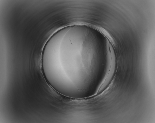 X0000094371244200711162104