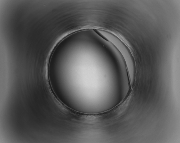 X0000094371246200711162104