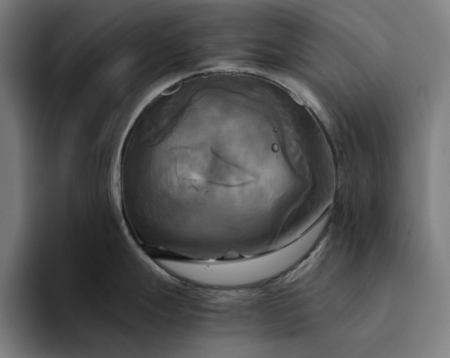 X0000094371247200711162104