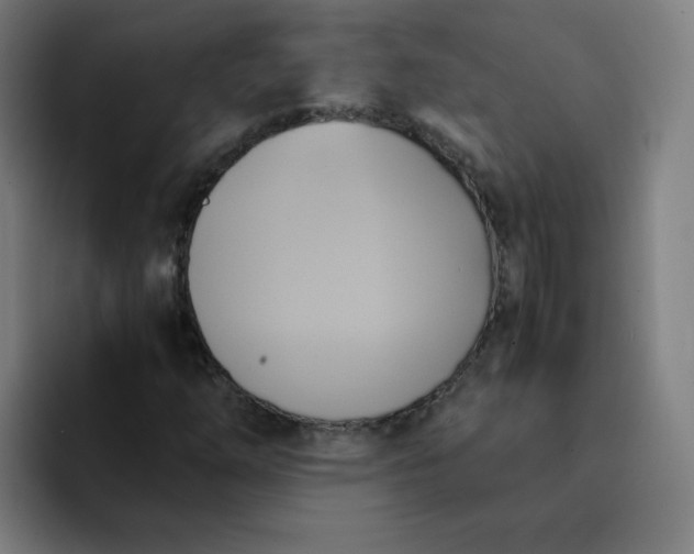 X0000094371254200711162103