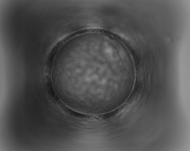 X0000094371255200711162103