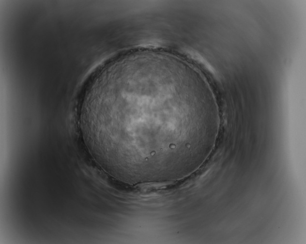 X0000094371256200711162103
