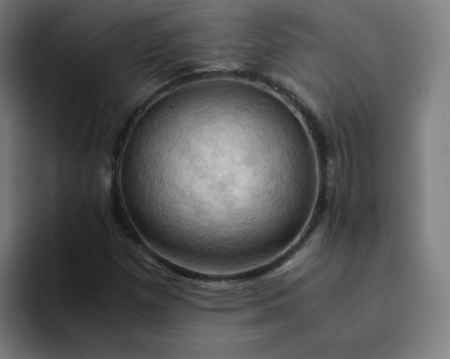 X0000094371257200711162103