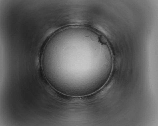 X0000094371259200711162103