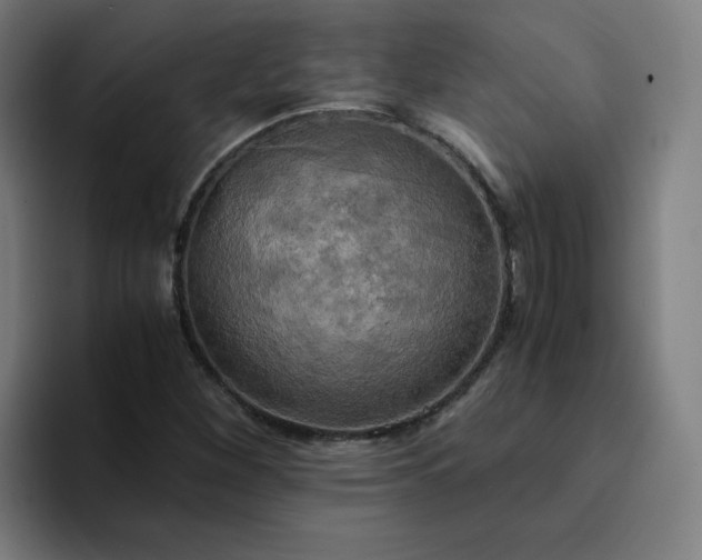 X0000094371260200711162103