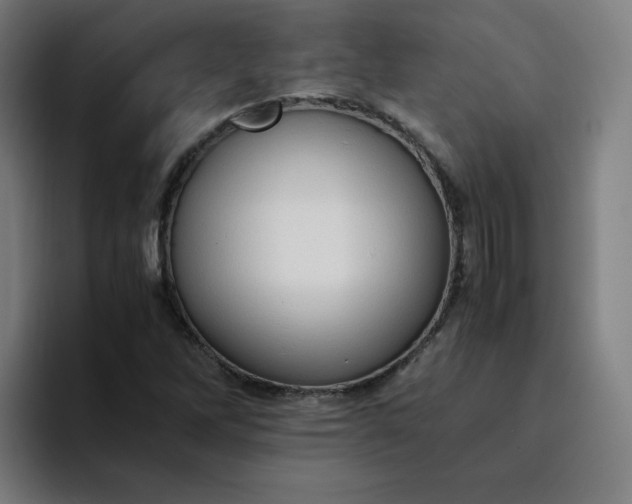 X0000094371262200711162103