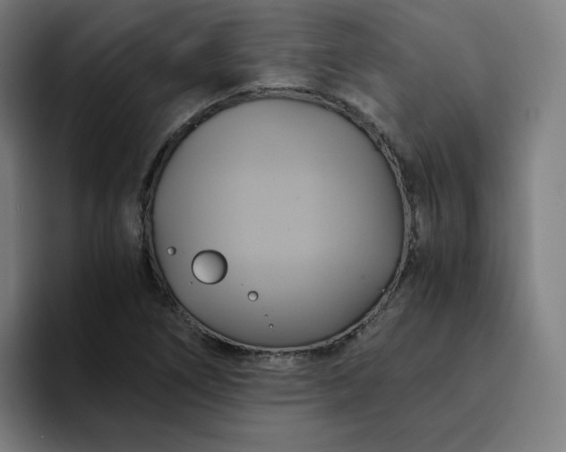 X0000094371266200711162103