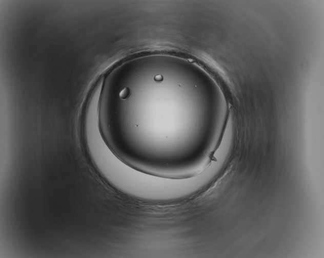 X0000094371269200711162103