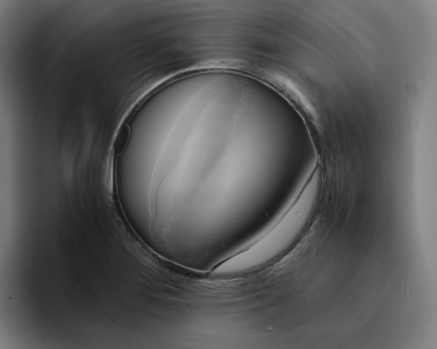 X0000094371276200711162103