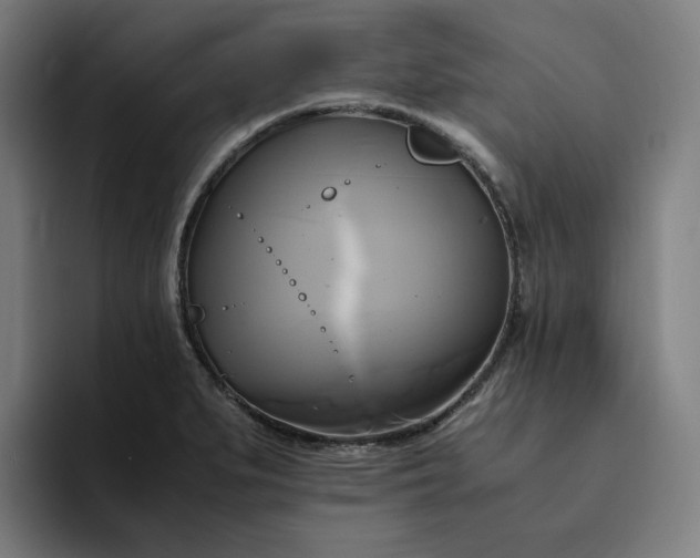 X0000094371279200711162103