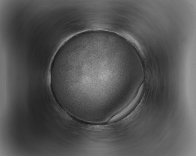 X0000094371280200711162103