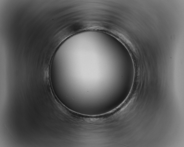 X0000094371281200711162103
