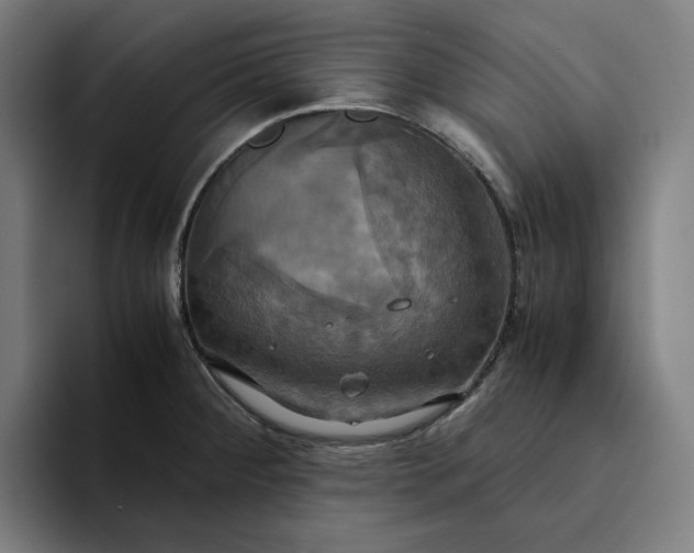 X0000094371284200711162103