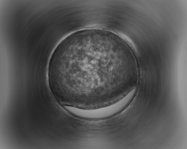 X0000094371288200711162103