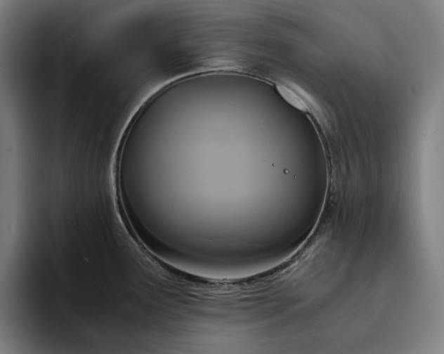 X0000094371291200711162103