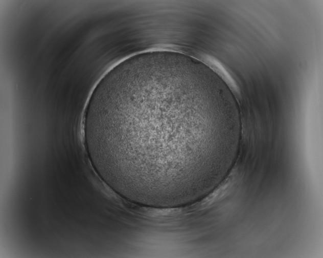 X0000094371292200711162103