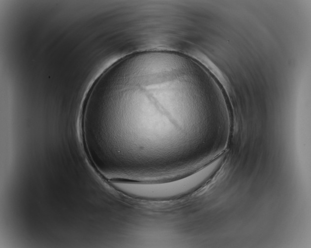 X0000094371293200711162103