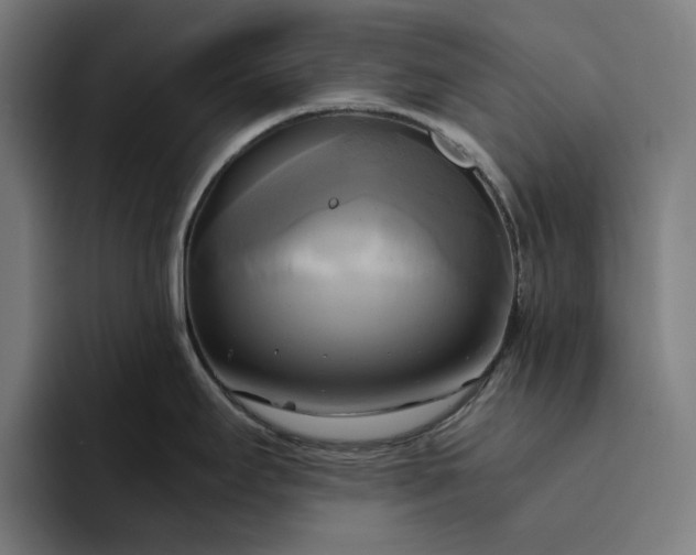 X0000094371295200711162103