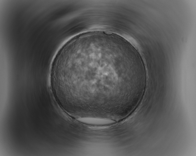 X0000094371296200711162103