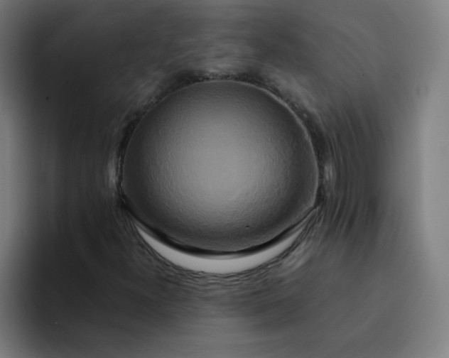 X0000094371300200711162102