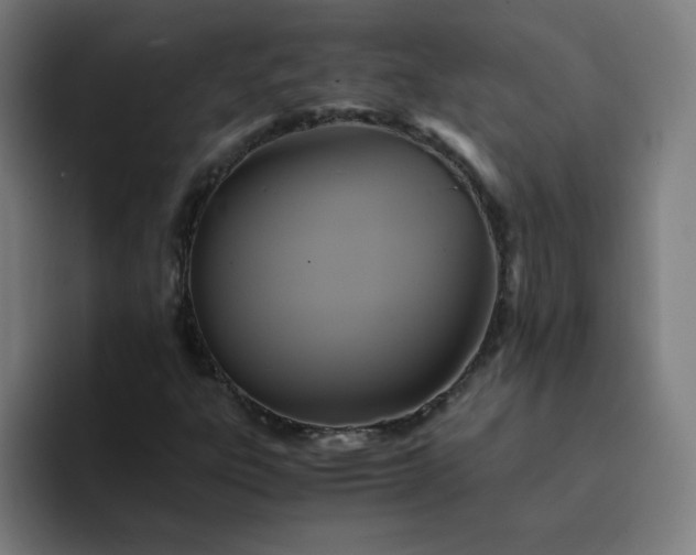 X0000094371303200711162102