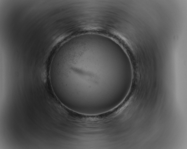 X0000094371306200711162102