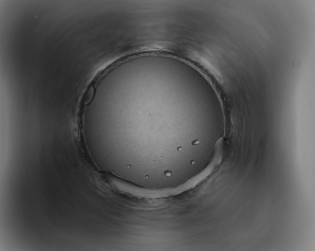 X0000094371308200711162102